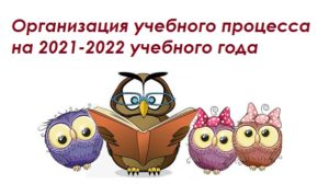 Организация учебного процесса 2021-2022